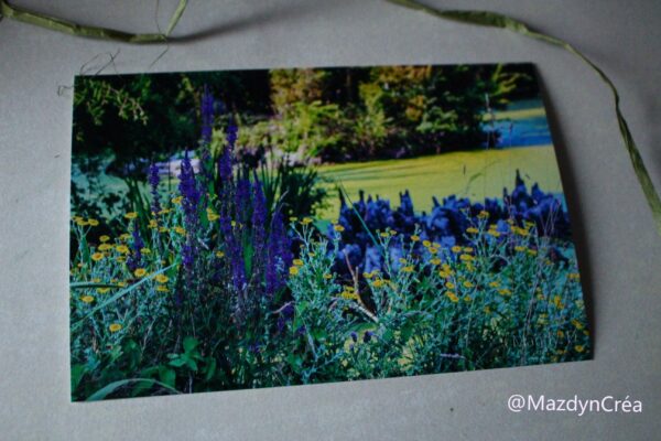 Photo Jardin du Château de Bellenaul - Fleurs – Image 2