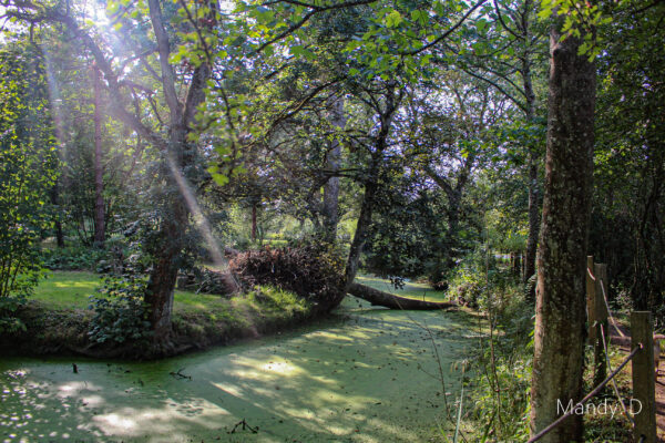 Photo Jardin du Château de Bellenaul - lac