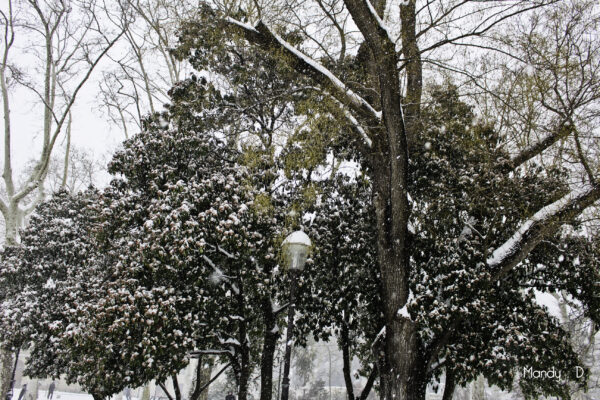 Photo - Montpellier sous la neige (1)