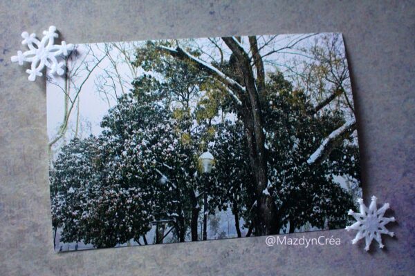 Photo - Montpellier sous la neige (1) – Image 2