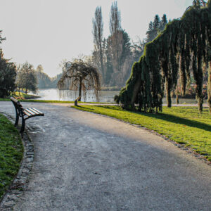 Photo - Parc Barbieux en Hiver