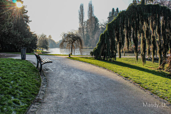 Photo - Parc Barbieux en Hiver